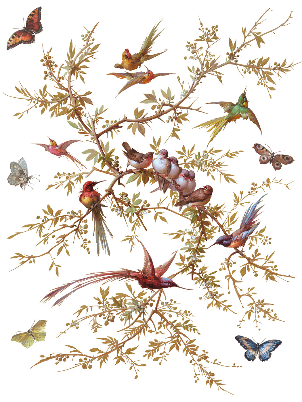 Madeleine Transfer Iron Orchid Designs 2026 Spring Collection