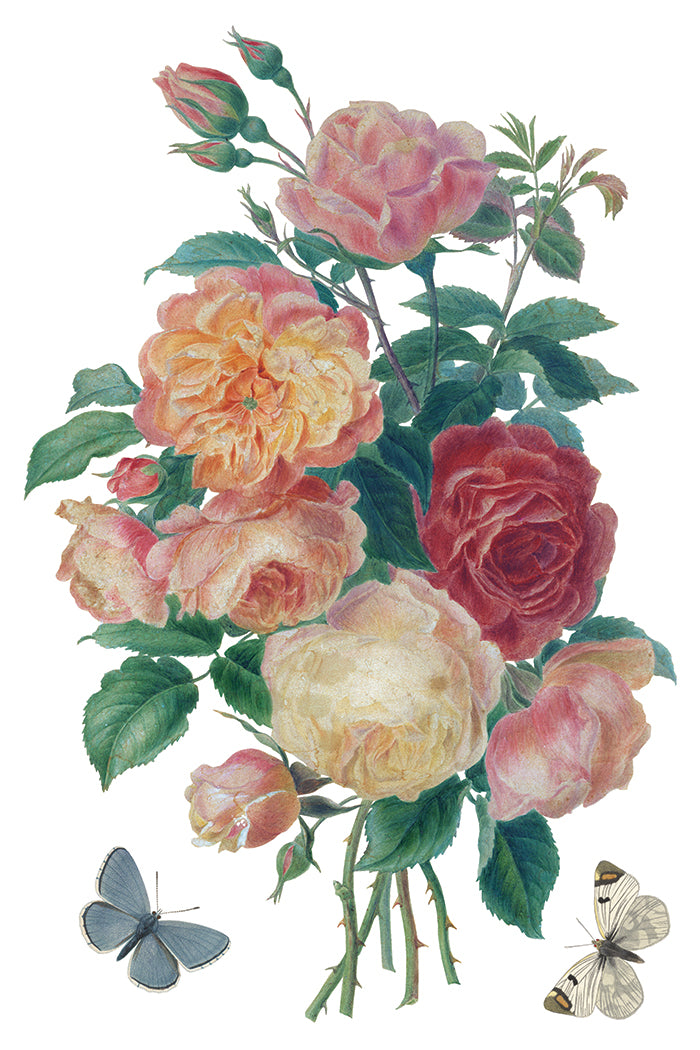 Saint Ouen Transfer Iron Orchid Designs 2026 Spring Collection