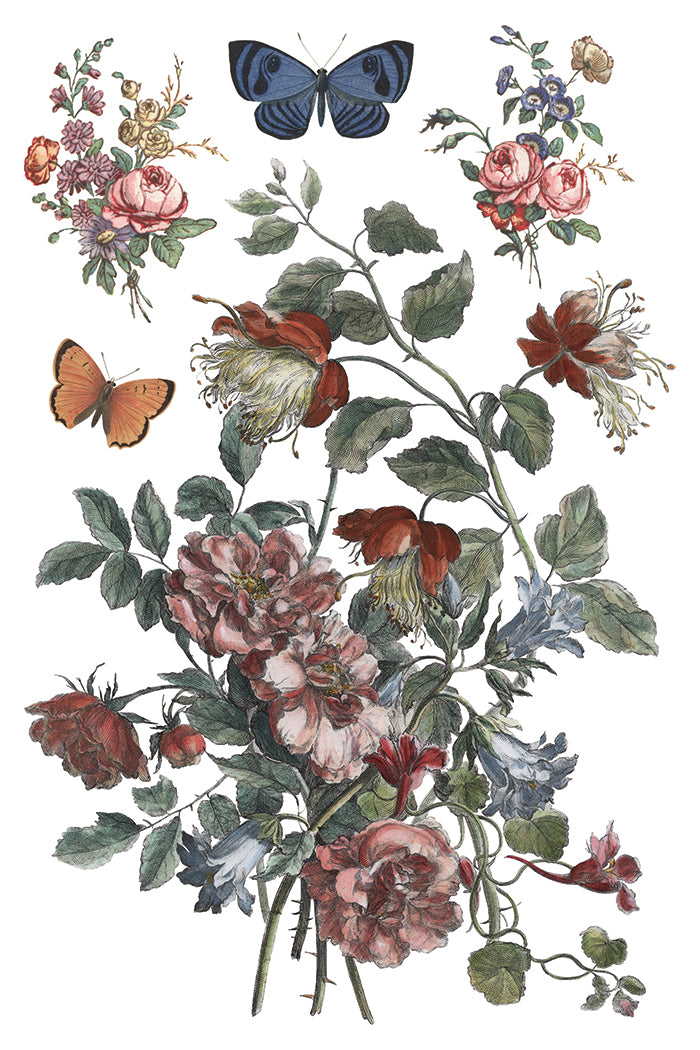 Saint Ouen Transfer Iron Orchid Designs 2026 Spring Collection