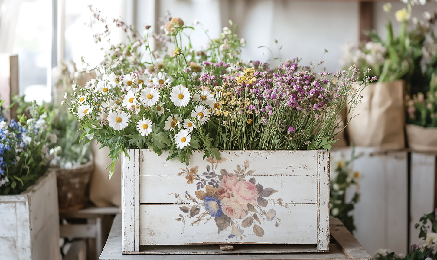 Saint Ouen Transfer Iron Orchid Designs 2026 Spring Collection