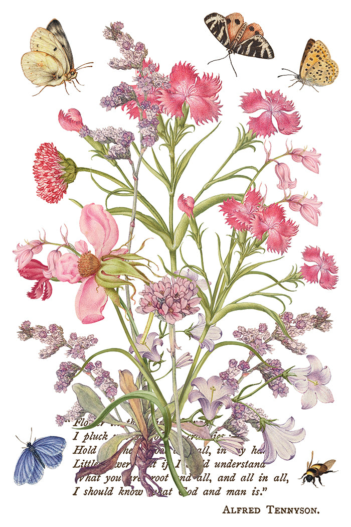 Primrose Isle Iron Orchid Designs Transfer Set