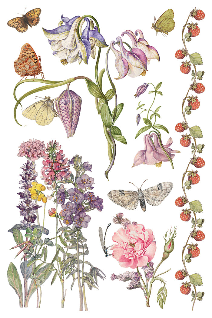 Primrose Isle Iron Orchid Designs Transfer Set