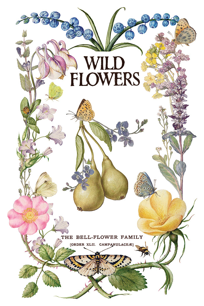 Primrose Isle Iron Orchid Designs Transfer Set