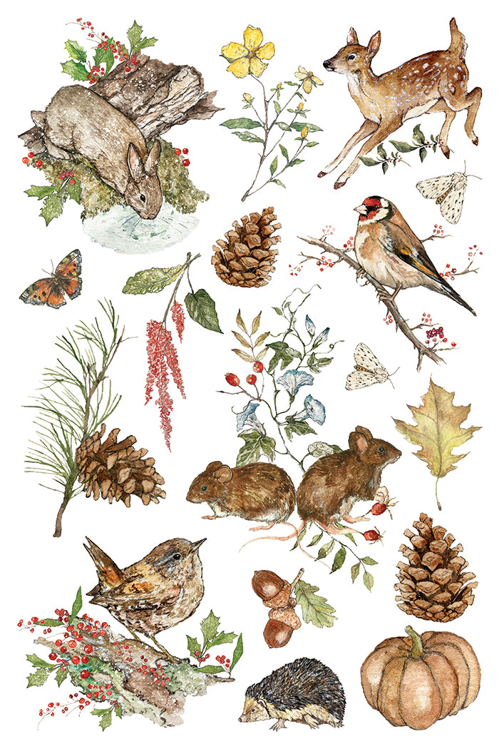 The Bramblewood Diaries Transfer 2026 Iron Orchid Designs Holiday Collection