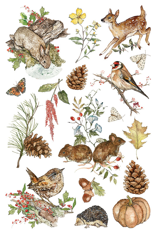 The Bramblewood Diaries Transfer 2026 Iron Orchid Designs Holiday Collection