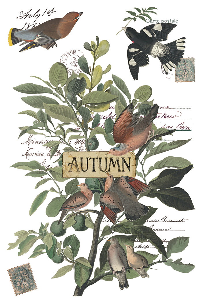 Winter's Calling Transfer 2026 Iron Orchid Designs Holiday Collection