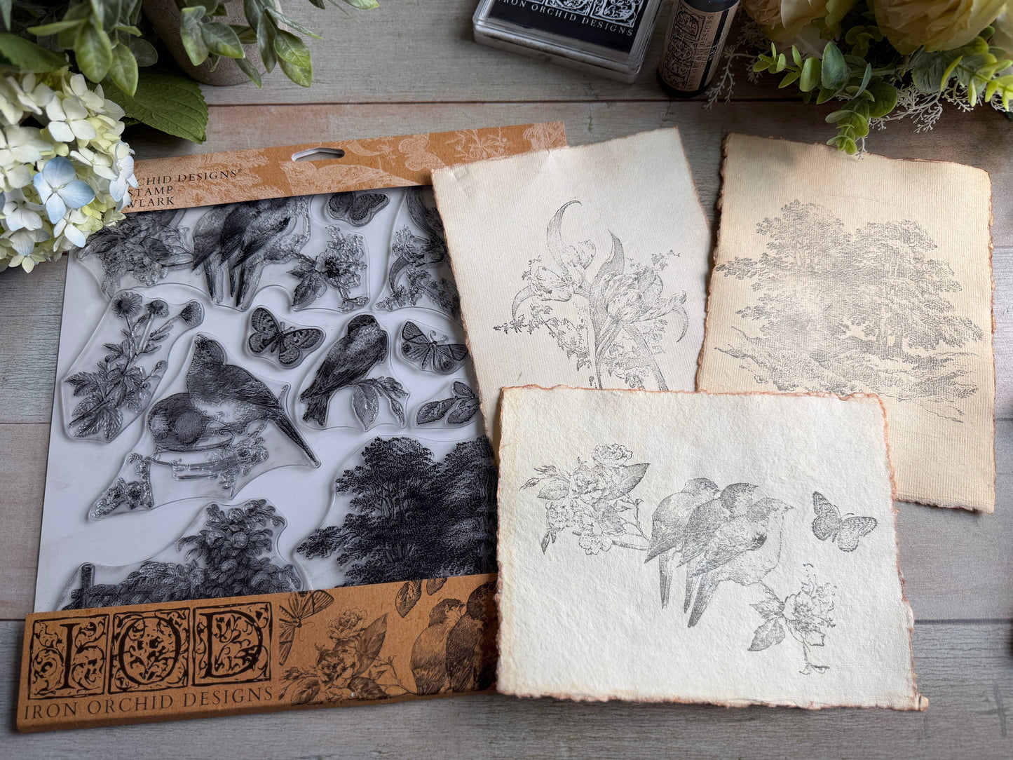 Meadowlark Stamp Iron Orchid Designs 2026 Spring Collection