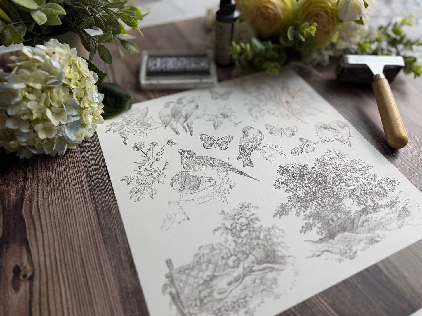 Meadowlark Stamp Iron Orchid Designs 2026 Spring Collection