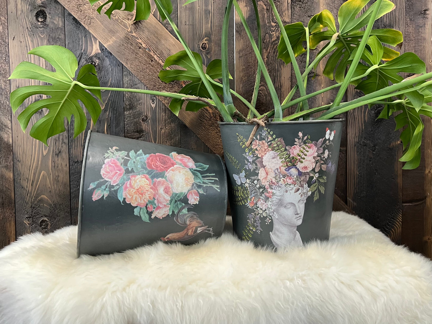 Saint Ouen Transfer Iron Orchid Designs 2026 Spring Collection