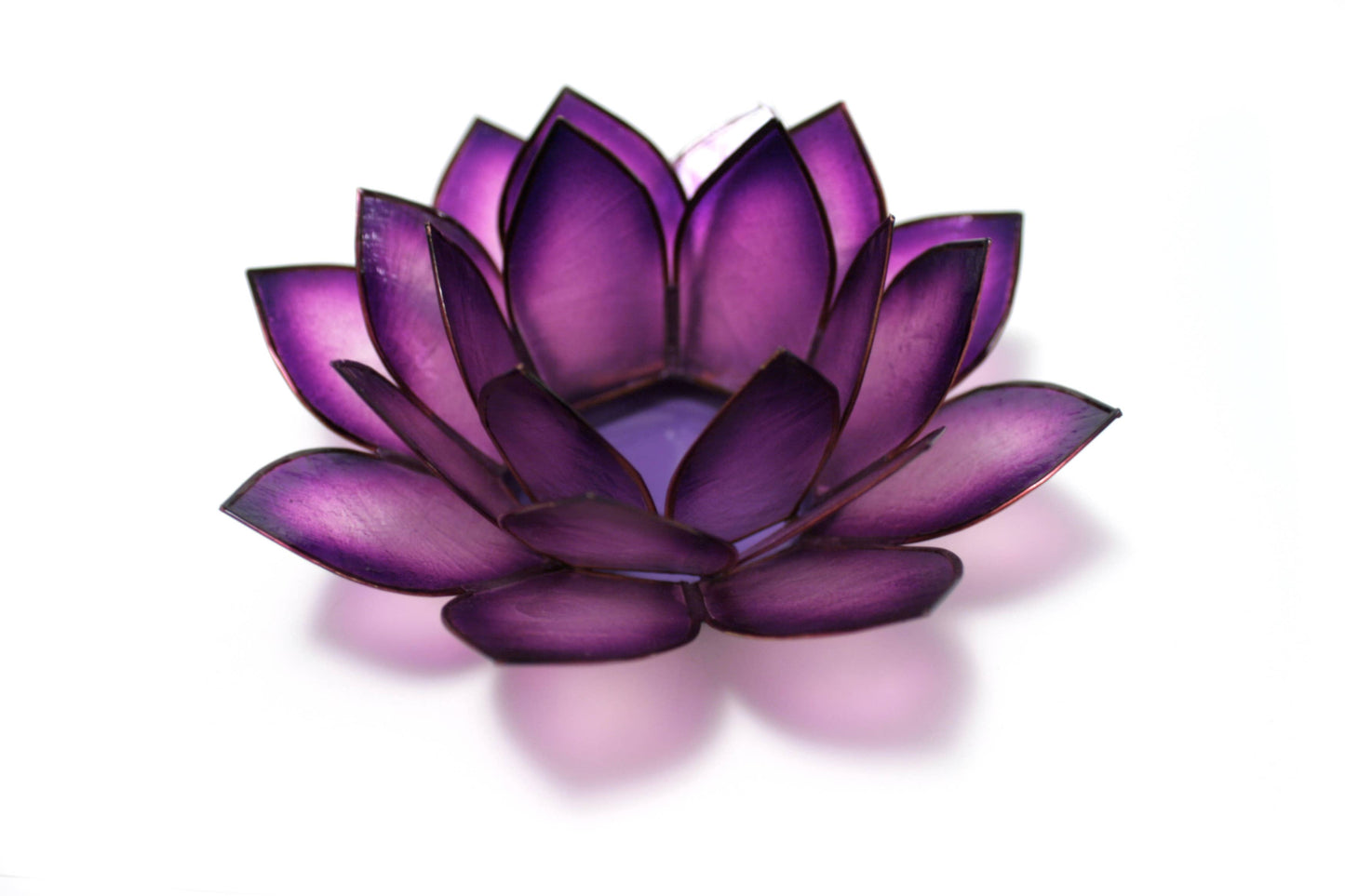 Passion Paradise Lotus TLight