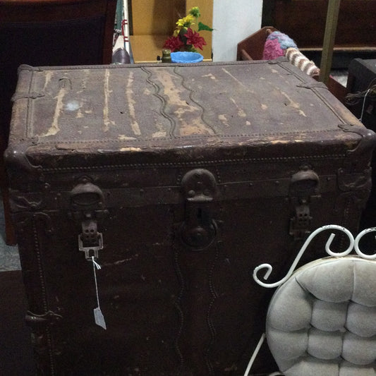 Travel Trunk