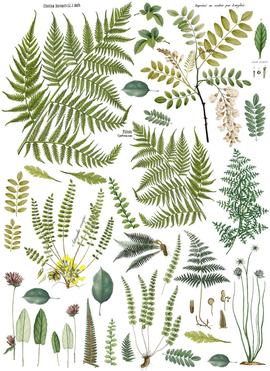 Frond Botanical IOD Transfer set