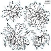 Chrysanthemums Iron Orchid Designs Stamp set RETIRED