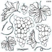 Grapes Iron Orchid Designs Stamp Set