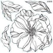 Peonies Iron Orchid Designs Stamp set