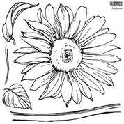 Sunflowers Iron Orchid Designs Stamp set
