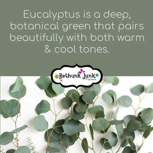 Eucalyptus Rethunk Junk Paint by Laura