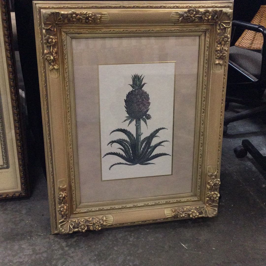 Vintage Botanical Art Pineapple