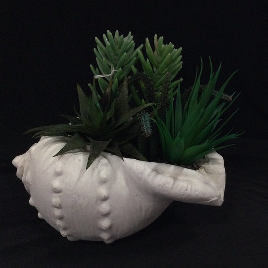 Plaster Sea Shell Planter w/ artificial Succulents