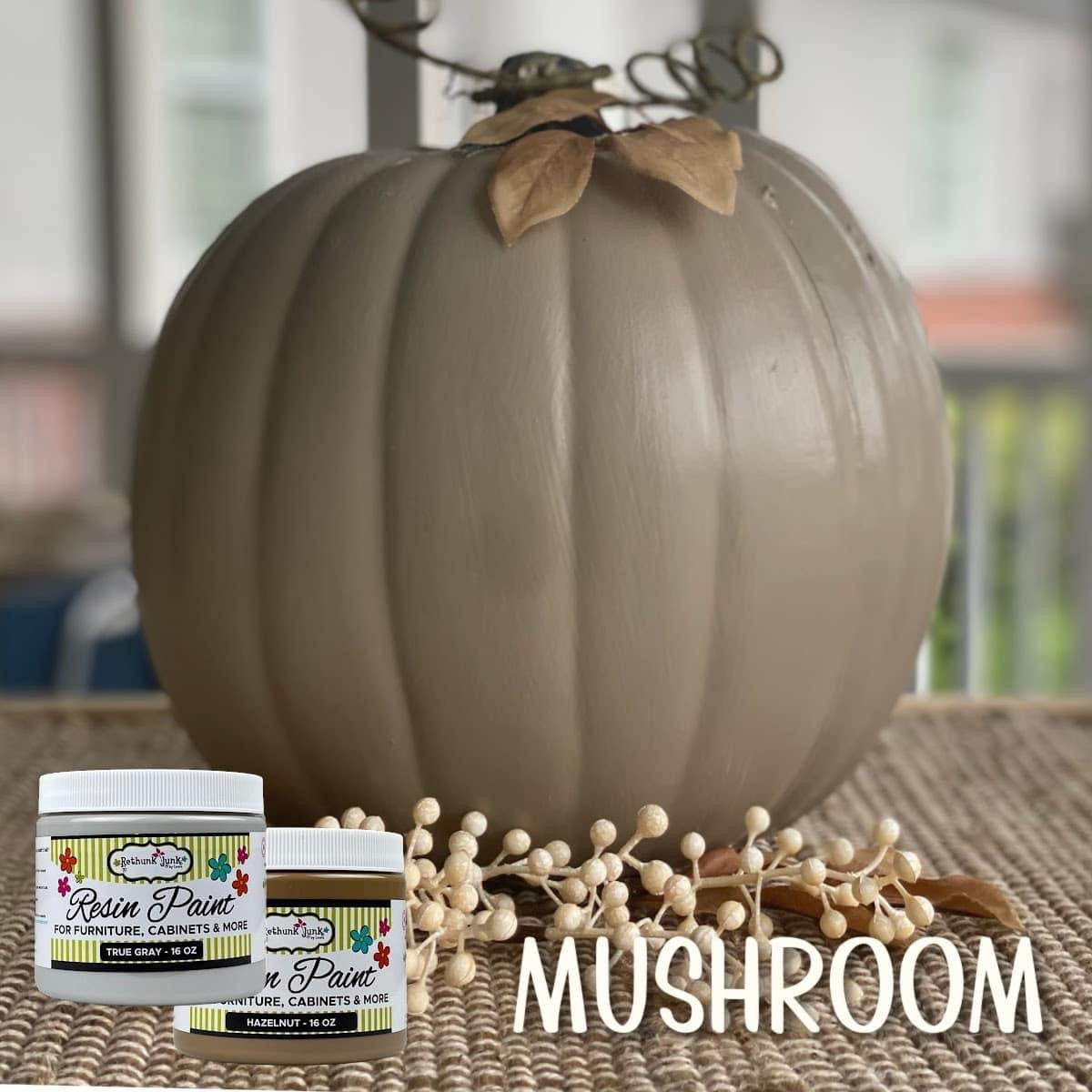 Mushroom Rethunk Junk Recipe Kit