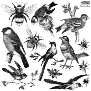 Birds & Bees Iron Orchid Designs Stamp set