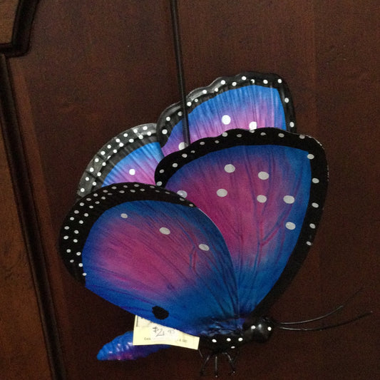 Butterfly Bouncie