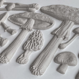 Toadstool Iron Orchid Designs Mould set